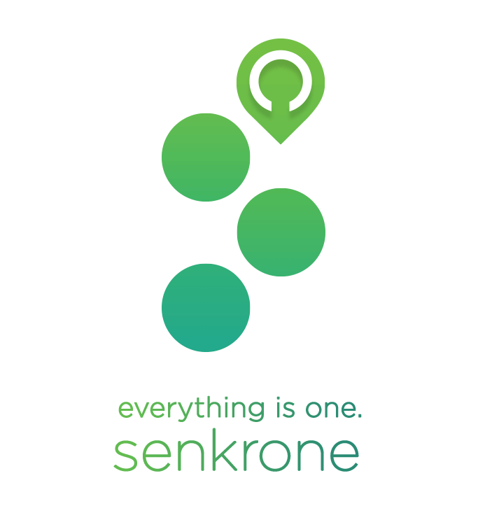 everything is one senkrone